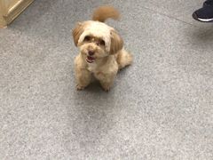 -爱诺耐芙动物医院(万博店)