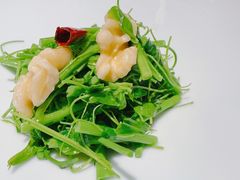 -素慧餐厅(大虹桥店)