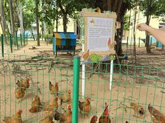 -三亚海棠湾万丽度假酒店