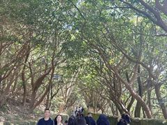 -普陀山慧济禅寺