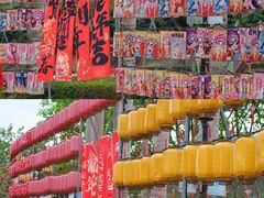 -光明农场大观园
