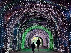 -栾川竹海野生动物园