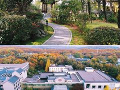 -南京国际会议大酒店