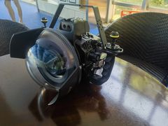 -BlueKing游泳俱乐部