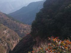 -黄花溪