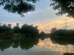 -九里河湿地公园
