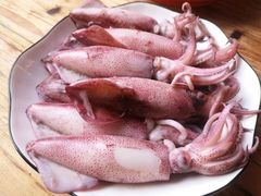 鱿鱼-蜀留香火锅(西南角店)