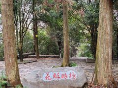 -潜山国家森林公园