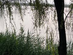 -野鸭湖国家湿地公园