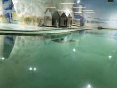 -北戴河圣蓝海洋公园