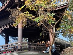 -武汉园博园(武汉自然博物馆)