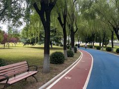 -太阳宫公园