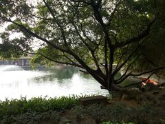 -东莞市可园博物馆