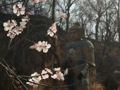 -居庸关长城-2号停车场