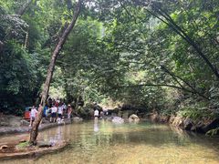 -鼎湖山风景区