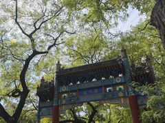 -北京国子监胡同