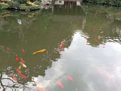 -姚面记·海派家常菜(恒基名人购物中心店)