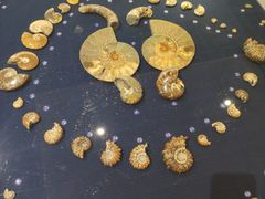 -青岛贝壳博物馆