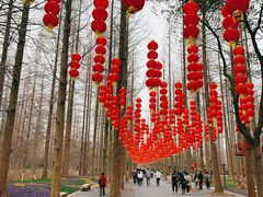 -东平国家森林公园