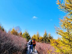 -苏木山森林公园