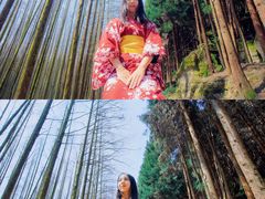 -山王坪喀斯特国家生态公园