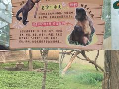 -合肥野生动物园