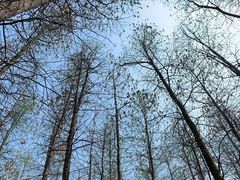 -蜀冈西峰生态公园