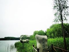 -溱湖国家湿地公园