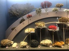 -中国湿地博物馆