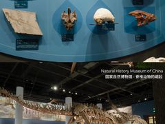 -国家自然博物馆