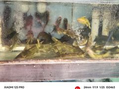 -漓江又一軒·广西菜·桂林米粉(梅林店)