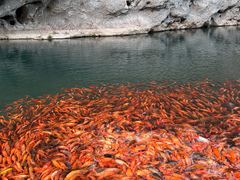 -楠溪江风景名胜区