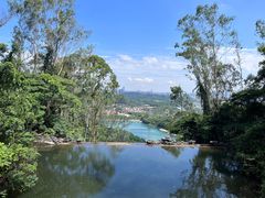 -水濂山森林公园