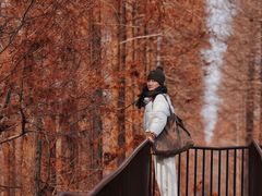 -黄海国家森林公园