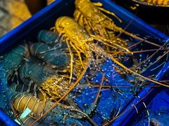 -仙本那小型鱼市