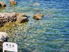 -养马岛旅游度假区