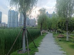 -西北湖绿化广场