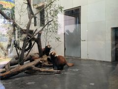 -西安秦岭野生动物园