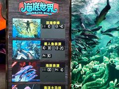-哈尔滨波塞冬海底世界