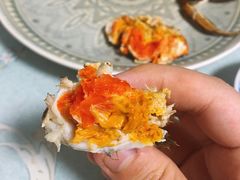 雌蟹-黄记大闸蟹专卖店·活蟹·醉蟹