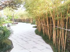 -重庆彩云湖湿地公园