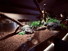 -曲廊院(东四十一条店)