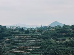 -乌石村