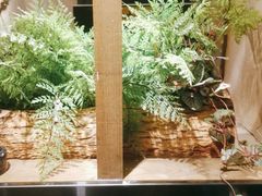 -耳艺采耳·足疗(东圃店)