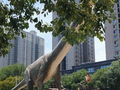 -陕西自然博物馆