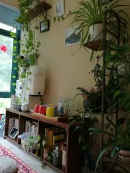 -Union瑜伽健康管理中心