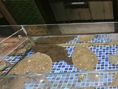 -天盛海鲜烧烤大排档·本地小海鲜·牟平腿穗子(幸福店)