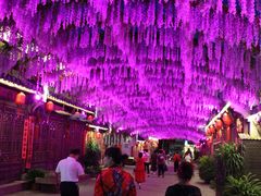 -婺源梦里老家大型山水实景演出