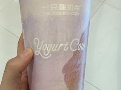 -一只酸奶牛(兰州中心店)