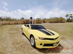-丽姐租车
